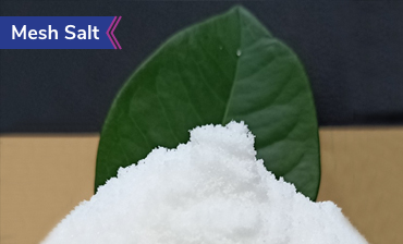 Mesh salt