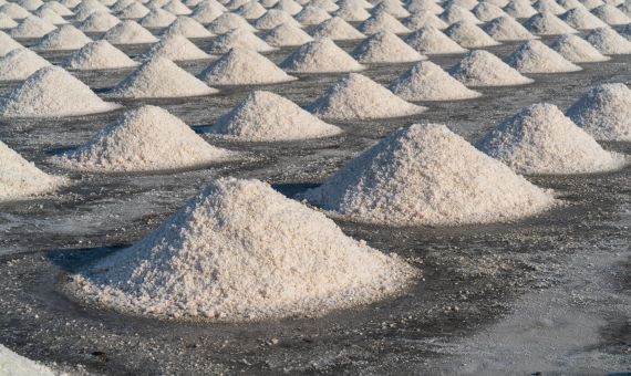 industrial salt manufacturer