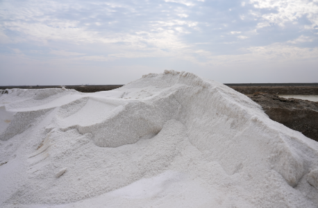 Edible Salt Manufacturer in Gujarat, India | Edible Salt Exporter in Gujarat, India | Edible Salt Supplier in Gujarat, India