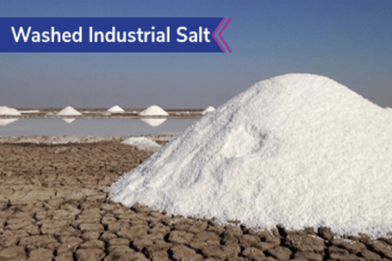 salt exporters in gujarat