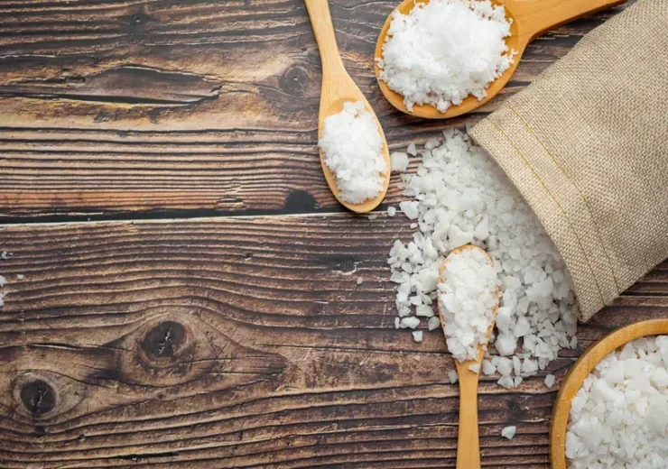 edible salt export