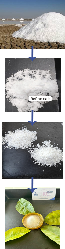 Crystal Salt Exporter in Gujarat