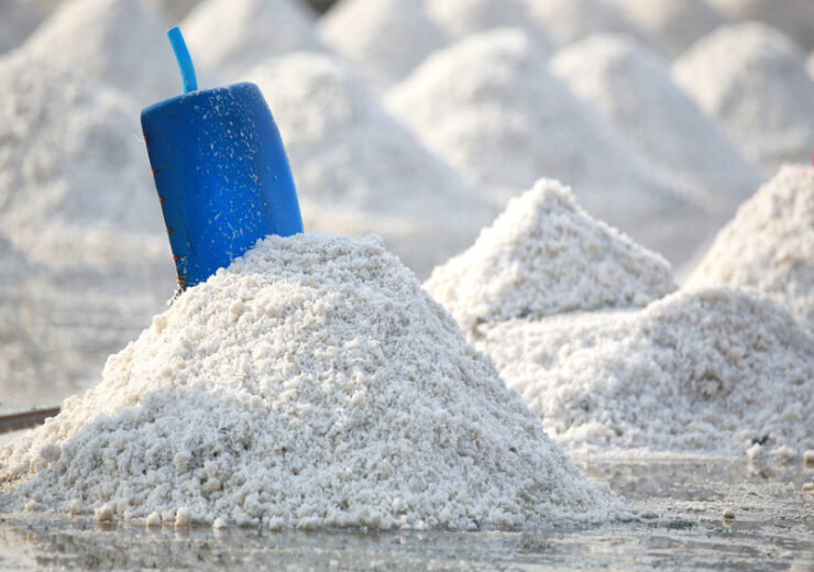 edible salt export