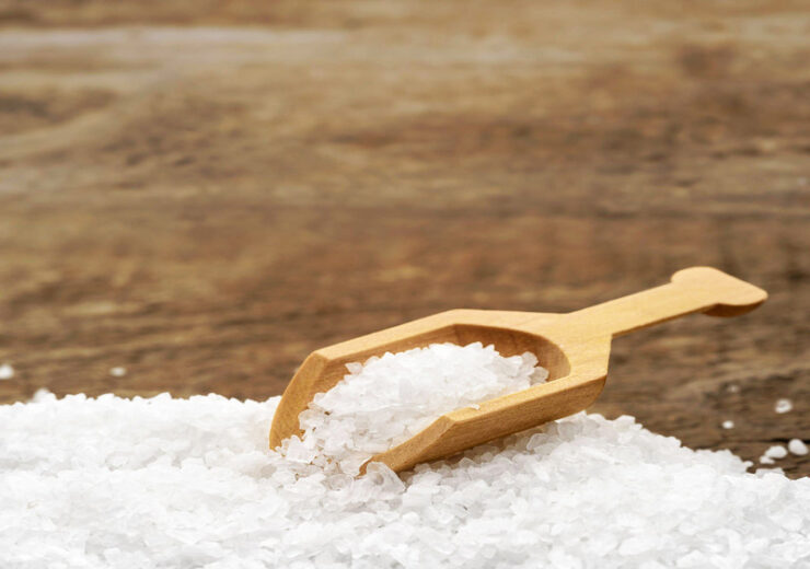 edible salt export